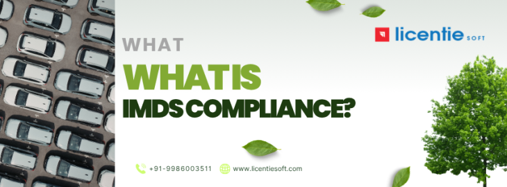 What is IMDS Compliance?