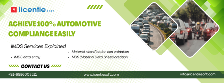 IMDS Services in India