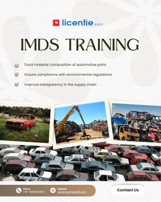 IMDS Compliance Services in India